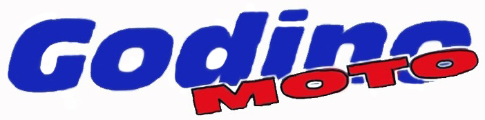 Godinomoto.it
